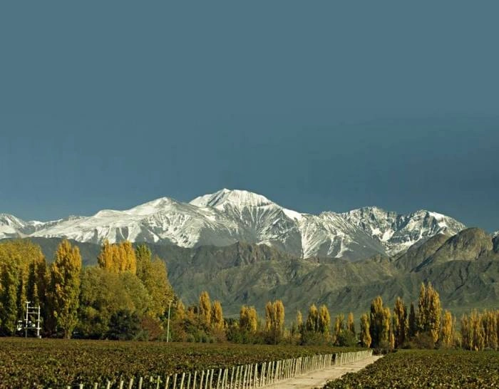 Mendoza cuyo